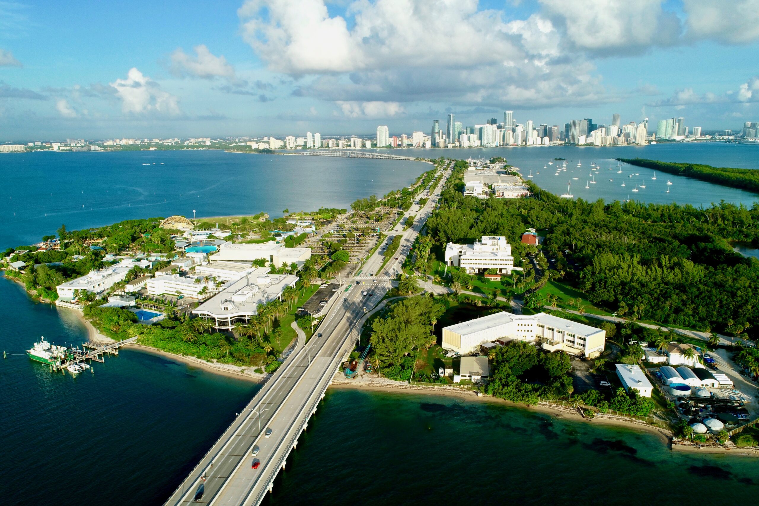 Aviso de no nadar en área de Virginia Key Miami 305 Noticias